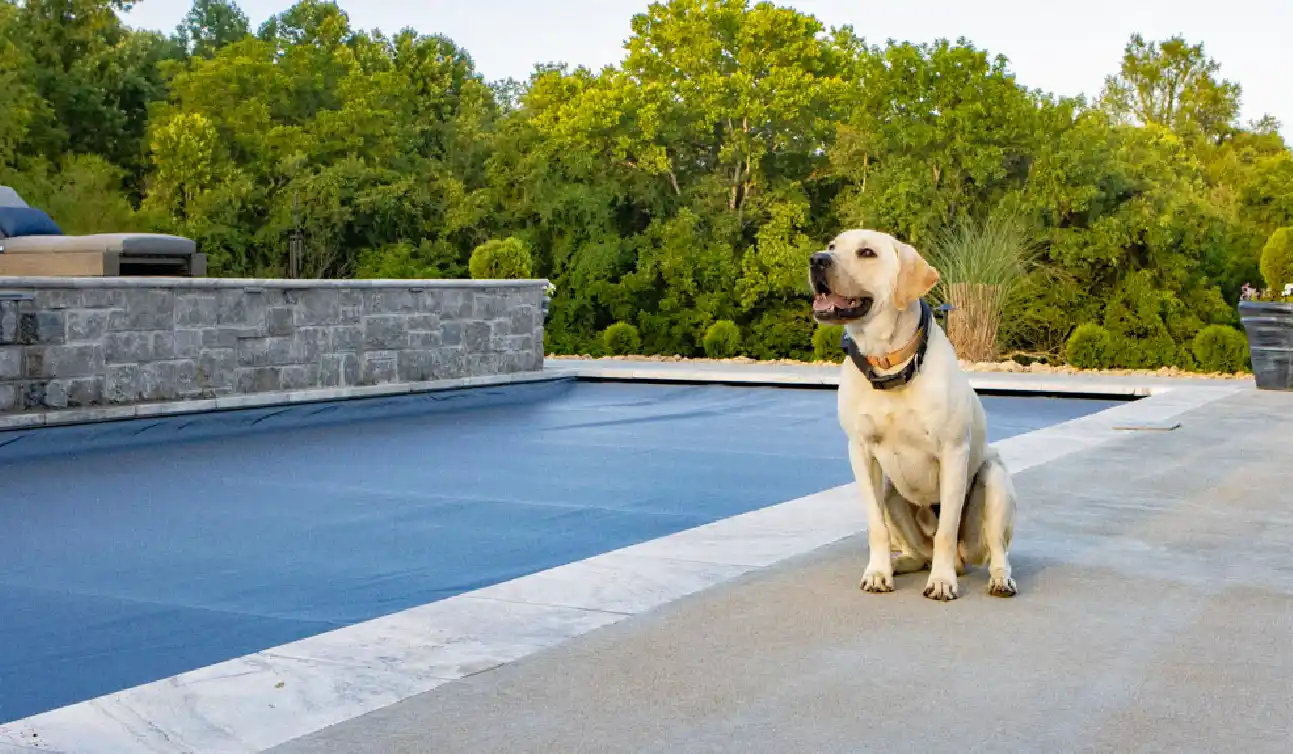 Pool Safety and Pool Covers: What Every Pool Owner Needs to Know